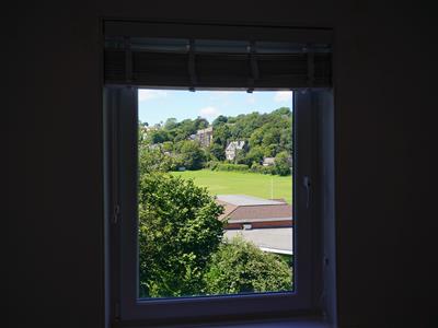 Picture 14